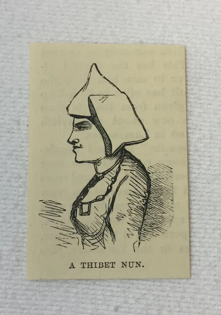 Piccolo 1886 Rivista Incisione ~Un Thibet Nun Tibet