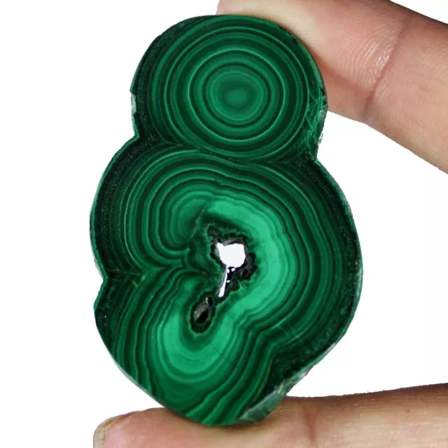 140.35Cts. Natural Designer Green Malachite Slice/Slab Cabochon Loose Gemstone