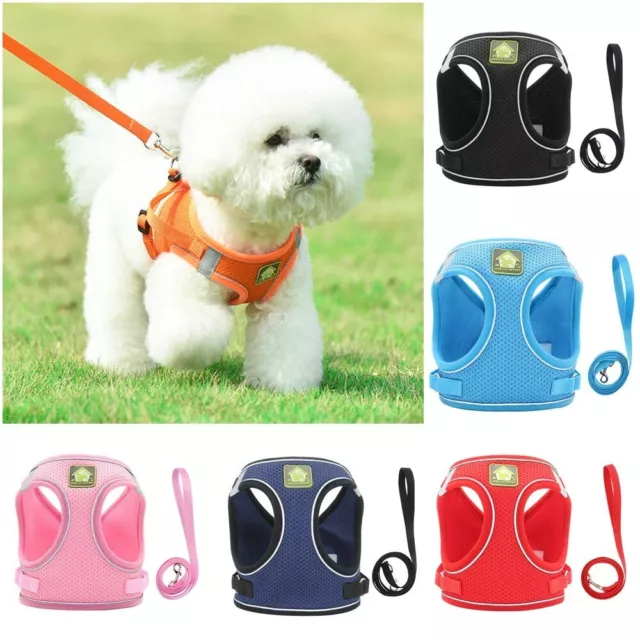 Small Pet Vest Harness Leash Set Walk Outdoor Dog Puppy Cat Soft Mesh Breathable