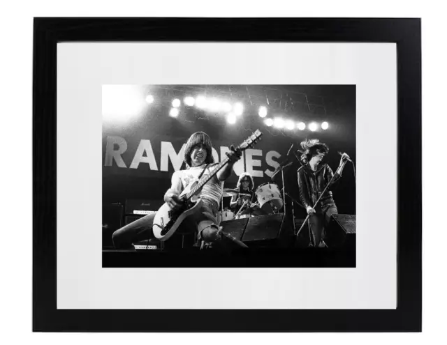Punk Rock Band The Ramones in Concert on Stage Matted &Framed Picture Photo