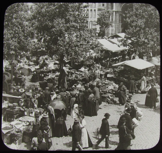 Glass Magic Lantern Slide THE VEGETABLE MARKET BRUSSELS C1910 PHOTO BELGIUM
