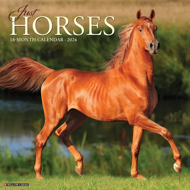 JUST HORSES - 2024 Wall Calendar - Brand New - 33975 $12.76 - PicClick