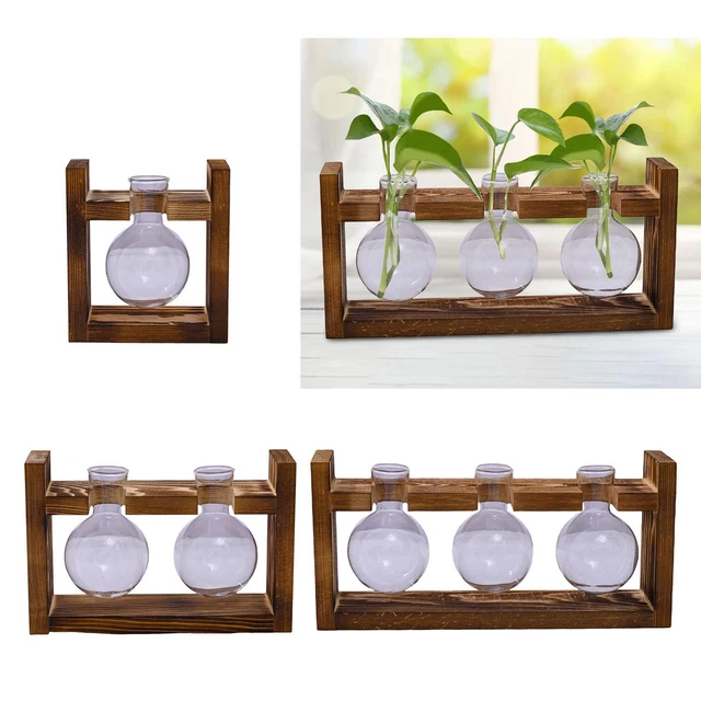 Lot De 2 Pots De Terrarium En Verre YARNOW - 13x13 Cm Avec Couvercle En Liège - Pour Plantes Miniatures