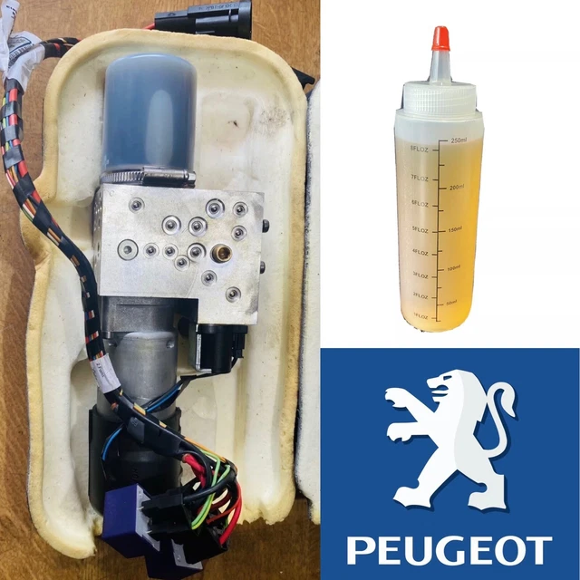 PEUGEOT 207 CC Convertible 2010 Roof Pump Motor 9674392280 With