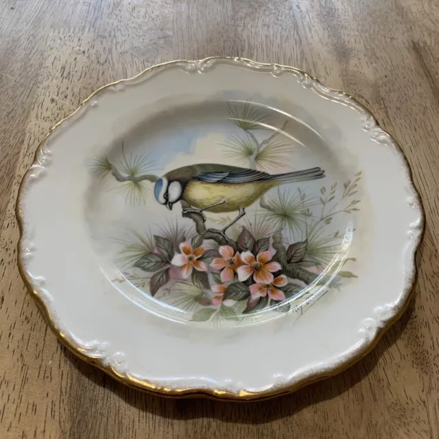 Royal Albert Bone China The Woodland Birds Collection Blue Titmouse Plate