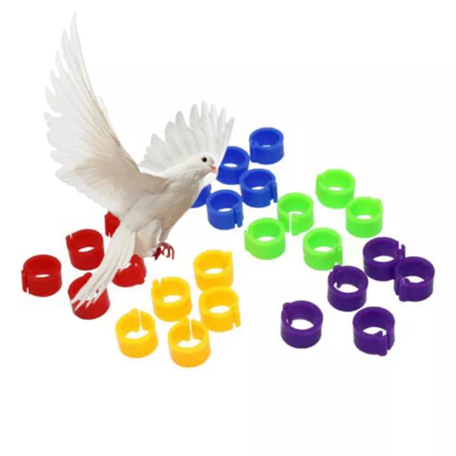 100X Chicken Hen Pigeon Leg Poultry Dove Bird Chicks Duck Parrot Clip Rings Band