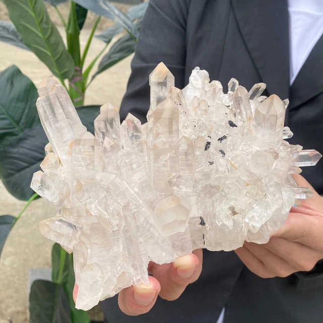 1170G Large Natural White Quartz Crystal Cluster Rough Specimen HEALING