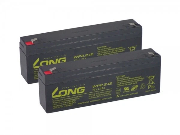 Batteria compatibile sollevatore a soffitto Maxi Sky 440 AGM piombo 24 V kit batterie come 2,3 Ah