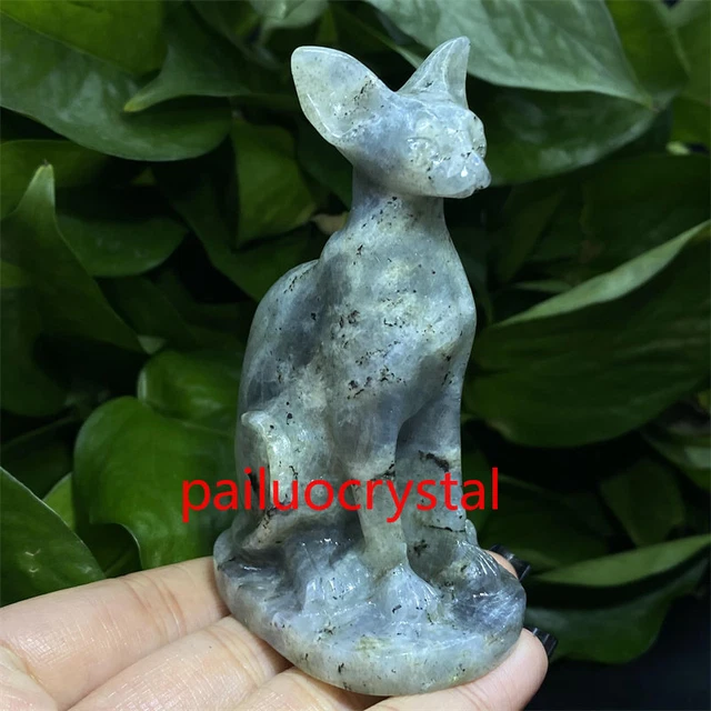 1pc Natural labradorite Hairless cat Quartz Crystal Skull Carved Figurines 3"