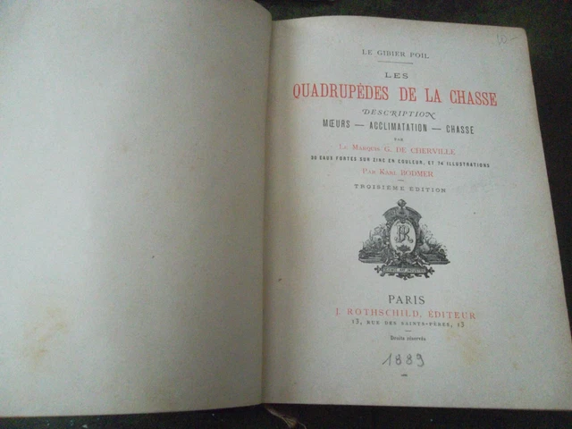 Icône Couleur Rgb Du Permis De Chasse Résident Illustration de Vecteur
