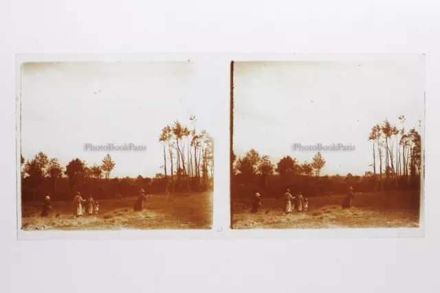 Brittany Harvest France Photo Stereo 10n12 Glass Plate Vintage c1930