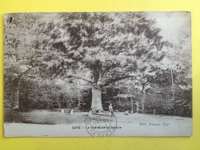 cpa FRANCE 60 - COYE Oise Le CHÊNE de la JUSTICE ARBRE TREE