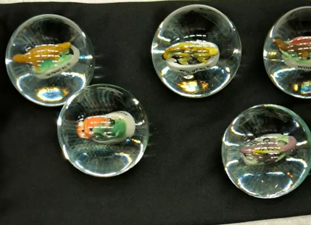 5 fèves Dinosaures dans des boules de verre TRÈS ORIGINAL