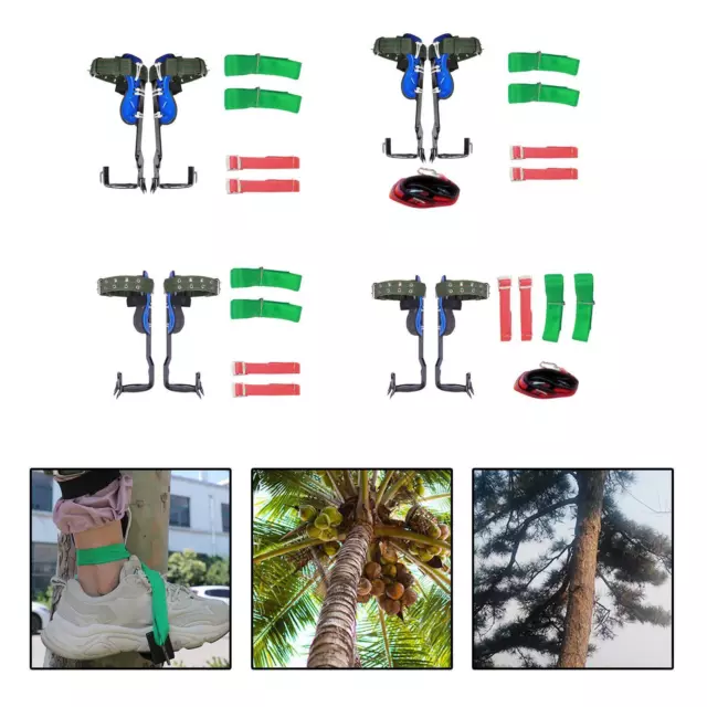 Griffe elagage,Ensemble de Pointes d'escalade d'arbre avec Sangles de  Ceinture de Harnais de sécurité réglables