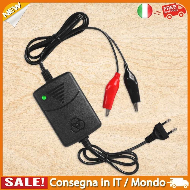 IT Caricabatterie per auto Smart 12V Caricabatterie al piombo-acido 1500MA (UE)