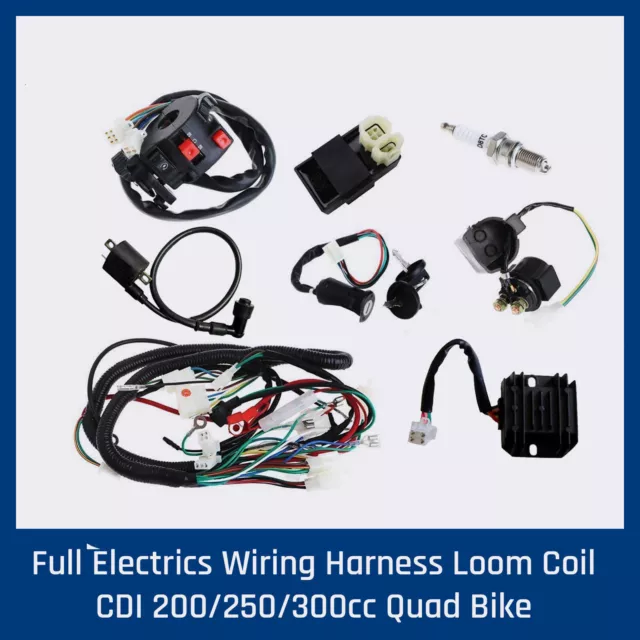 COMPLETE ELECTRICS QUAD 200 250cc OHC.Zongshen Loncin generator coil harness cdi