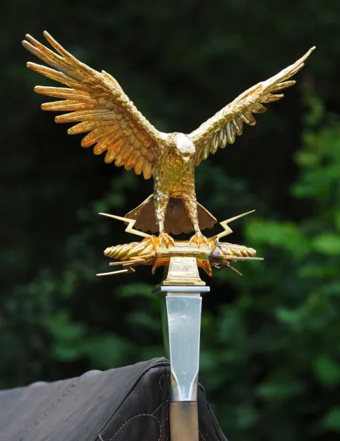 Roman Aquila Eagle POSTCARD Army Gold Bird Steve Greaves Print Card Photo SPQR