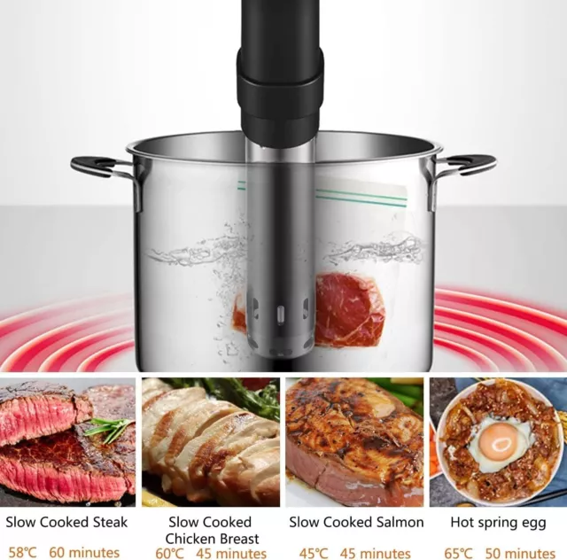 Cuiseur Sous Vide, WIFI Sous Vide Stick 1100W Calculateur d'Immersion Cuisinière 3