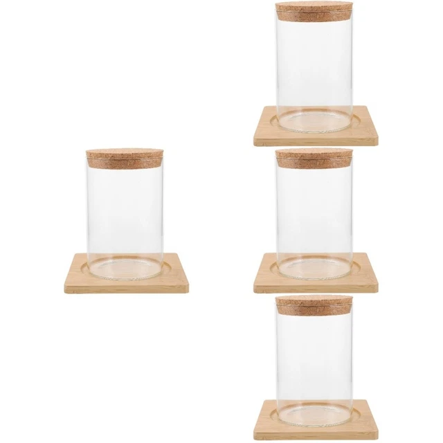 4x Contenedor decorativo de vidrio para terrario Plantas hidropónicas Contenedor