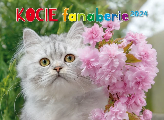 POLISH CALENDAR 2024 polski kalendarz scienny Kocie Fanaberie 2024 $19. ...