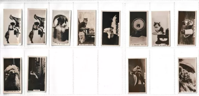 Part Sets Millhoff / De Reszke Cigarette Cards Real Photographs 1st 2nd 3rd 5th