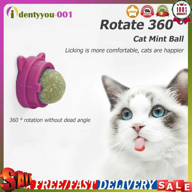 Bola giratoria de menta para gatos, bolas de fugas naturales para gatos, molares-menta para gatos-