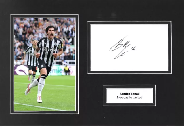 Sandro Tonali Signed 12x8 Photo Display Newcastle United Autograph Genuine COA