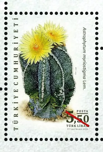 Türkei 2020 Turkey- Kakteen,Cactus/Kaktüs, Mi.4589/93 Bl.:202  ** MNH Postfrisch 3