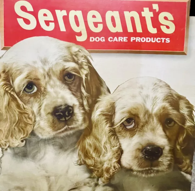 Vintage Store Advertising Display Sign Sergeant’s Dog Rare!! Spaniel