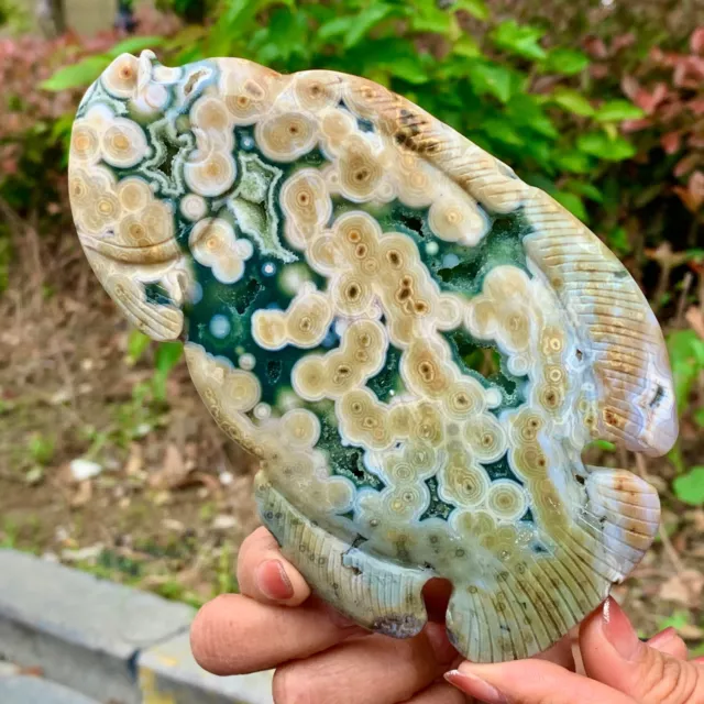 338G Amazing Natural Ocean Jasper Crystal Carved Fish Jasper Halo Stone