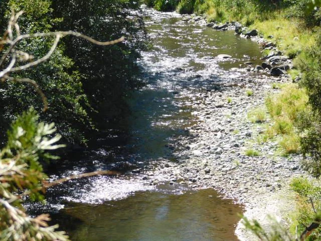 California Nice 40 Acre South Fork Salmon River Mining Claim With Real Gold Land