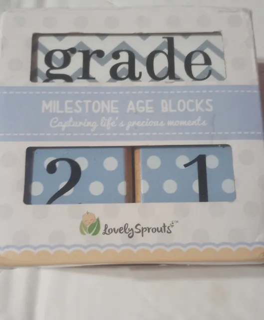Milestone Age Blocks By Lovely Sprouts “Capturing Life’s Precious Moments” New
