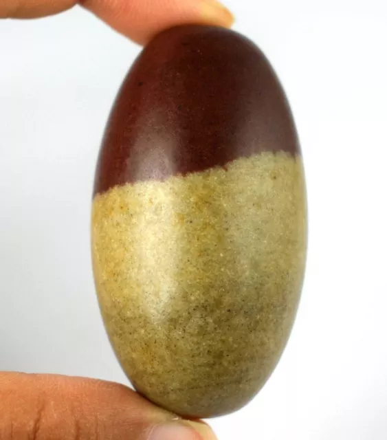 63.88 Gram Natural Shiva Lingam Healing Stone 2.09 Inch Holy Purpose