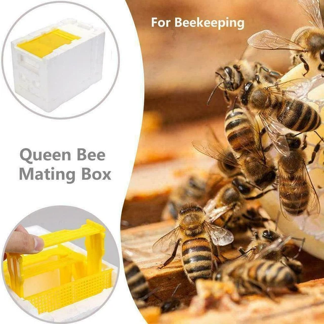 Foam Queen Bee Mating Cases Bees Copulation Beehive Tool C3A4 Ne w Reserve I2F8