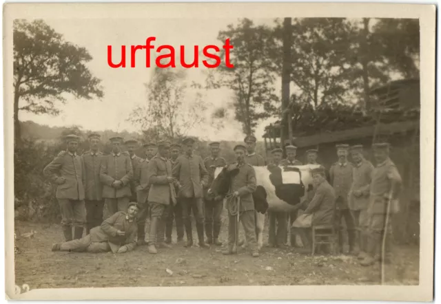 German WWI Soldiers Milkingt a Cow at Dugout Photo