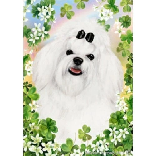 Clover House Flag - Maltese 31041