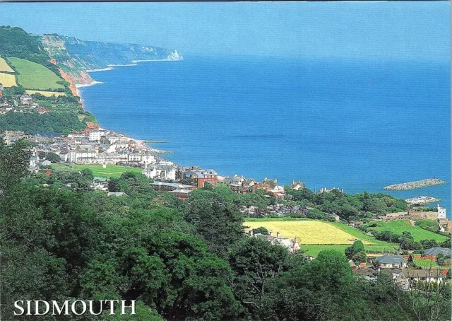 Postcard SIDMOUTH Water Water resources Azure Natural landscape Sky Tree AA07111