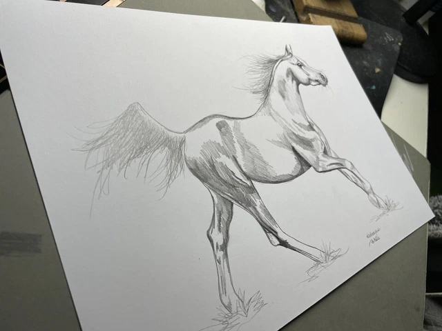 Tableau Portrait de cheval coloré sur Toile - Peintures Modernes