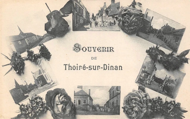 CPA Souvenir de Thoiré-sur-Dinan (143342)