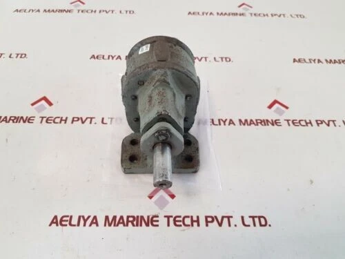BSM Pump Rotary Gear Pump