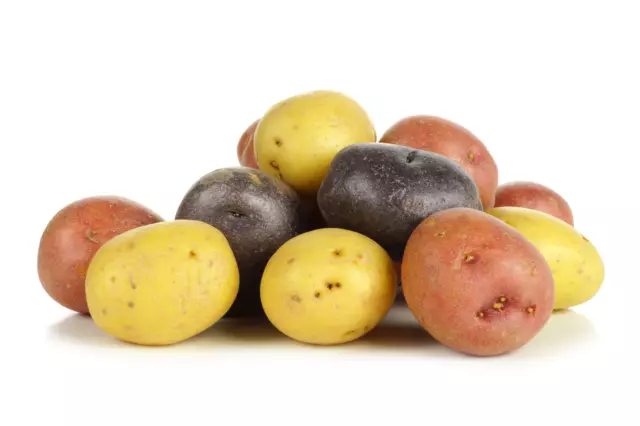 Exotic Mix | Finest Culinary Potatoes | *Free UK Postage*