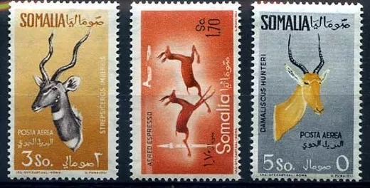 SOMALIA AFIS 1958/9 - POSTA AEREA ANIMALI Serie nuova ** MNH