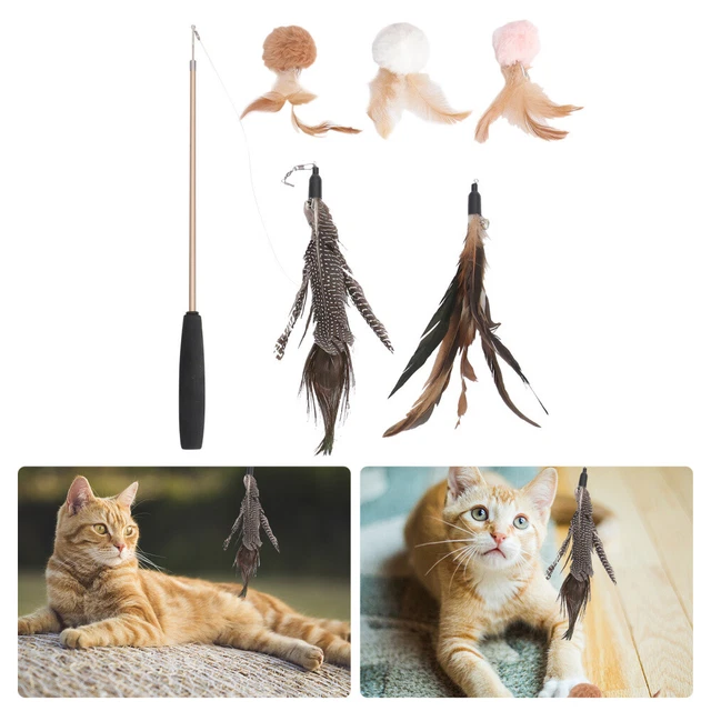 6 Pcs Poteau De jouet casse-tête pour chat Jouet Pour jouet casse-tête pour chat