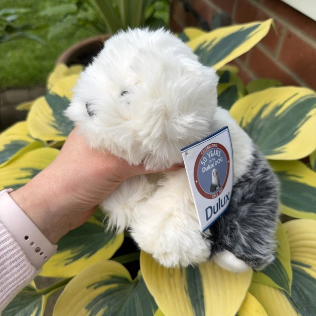 Picclick.com DULUX PLUSH DOG Official Vintage Soft Toy Dulux Tags Blue Collar & Foot ...