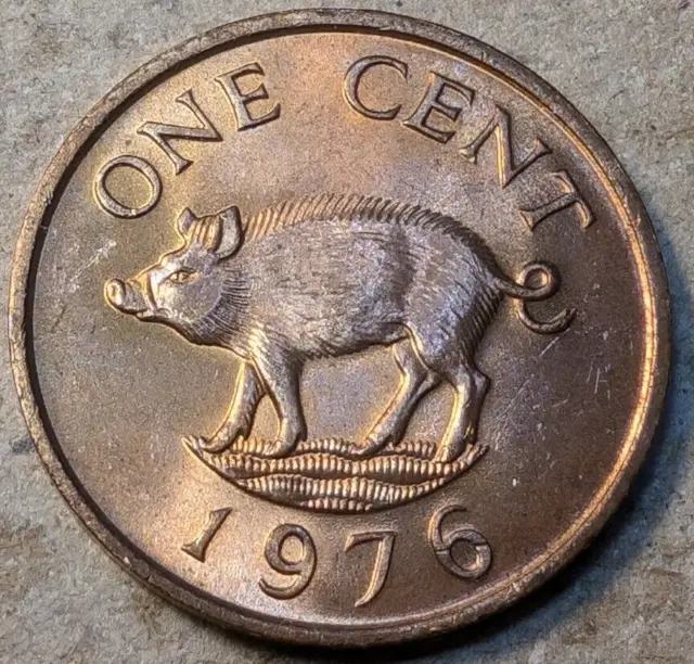 Bermuda 1 cent 1976 wild hog piglet coin
