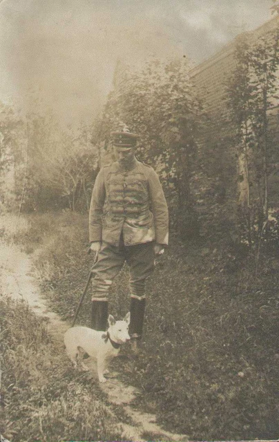 Husaren-Portrait mit Orden EK. und Hund, Foto-Postkarte, Militär
