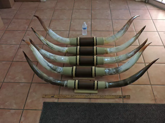 Mounted Steer Horns 4'6" - 4' 11" Tip To Tip  (1 Set) Cow Bull Horns Longhorns