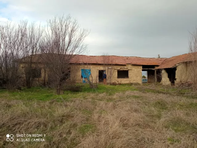 Bulgaria Bulgarian Ovcha mogila village Svishtov, VT 2600 Sqm Lower Start Price Bulgaria Bulgarian Ovcha mogila village Svishtov, VT 2600 Sqm Lower Start Price