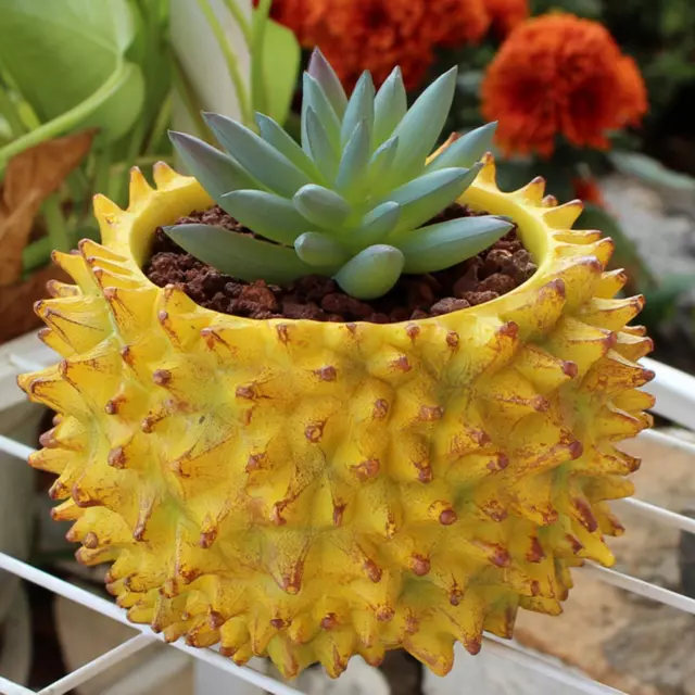 Durian Flower Pot Resin Tabletop Ornament Flowerpot Planter for Indoor Plants