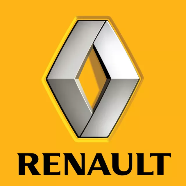 WFS Wegfahrsperre Entfernen IMMO OFF Renault Clio Twingo Scenic Kangoo Megane